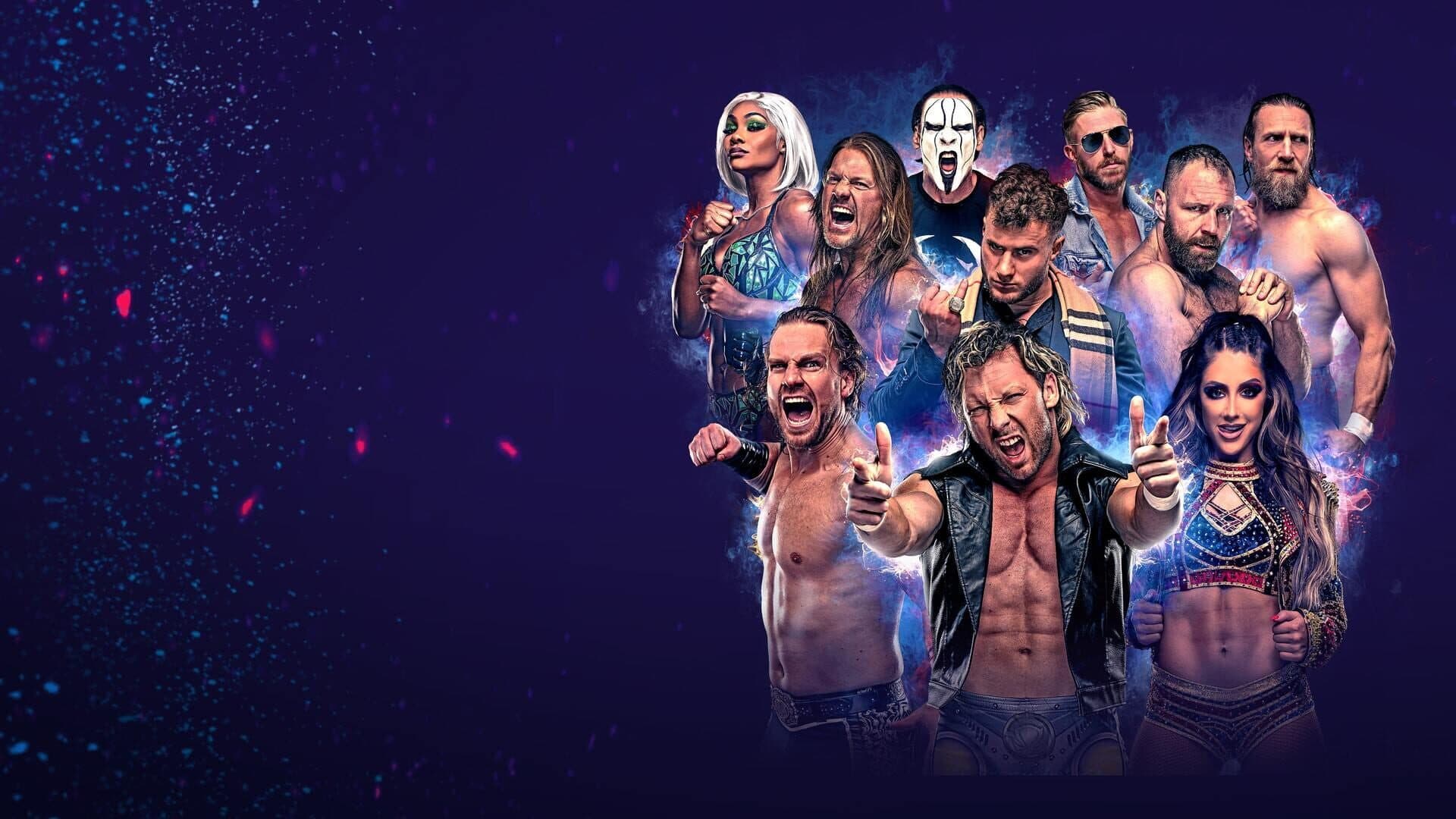 AEW: Fight Forever — verified co-op game artwork